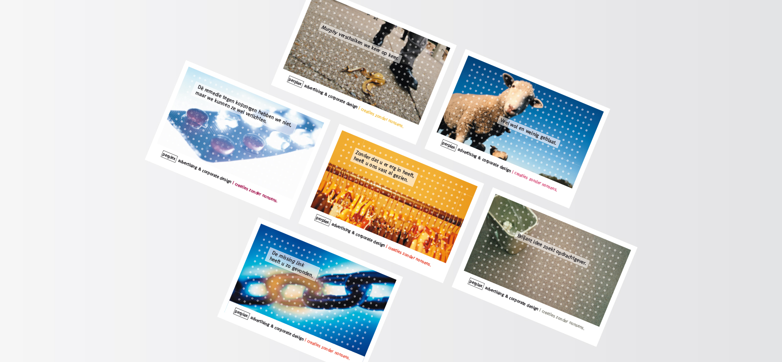 Perplex Marketing, designed in Flanders by Perplex